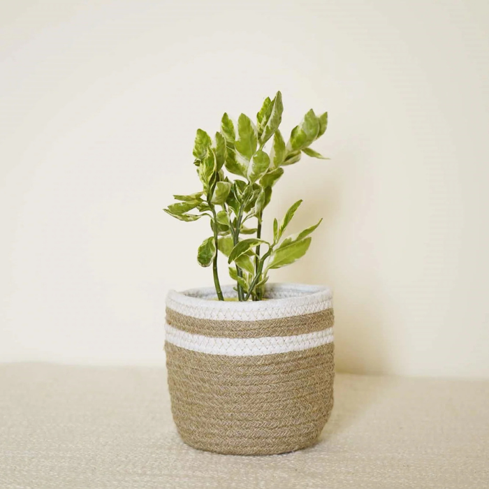 Jute Planter Baskets 